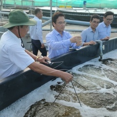 Ngành tôm Bạc Liêu bứt phá